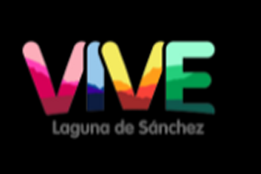 Logo Vive